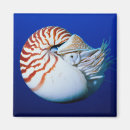 Recherche de sous marin magnets Faune