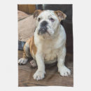 Suche nach englische bulldogge geschirr tücher Welpe