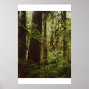 Suche nach olympische halbinsel poster Landschaft