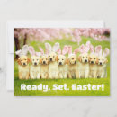 Suche nach lustiges ostern einladungen Süßes tier