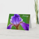 Suche nach wege karten Blume