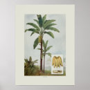 Suche nach banane poster Illustration