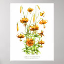 Suche nach orange lilien poster Natur