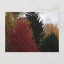 Suche nach herbstbaum postkarten Bäume