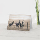 Recherche de quart vœux cartes Cheval