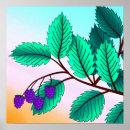 Suche nach blackberry poster Beeren