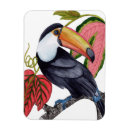 Recherche de oiseau exotique magnets Toucan