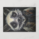 Recherche de raton laveur cartes postales Drôle