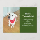 Suche nach grüner hund poster Weiß