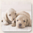 Recherche de teckel dessous de verres Nature