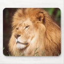 Recherche de grand format tapis souris Image en couleur