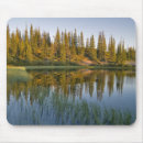 Suche nach nordwest mousepads Janis miglavs