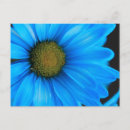 Suche nach brights postkarten Blume