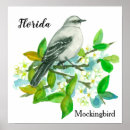 Suche nach weißer vogel poster Singvogel