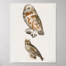 Suche nach vintage eule poster Retro