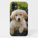 Suche nach goldener hund iphone hüllen Niedlich
