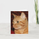 Suche nach tabby karten Streifen