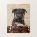 Recherche de allemand puzzles Mignon