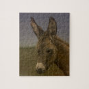 Recherche de donkey puzzles Mule