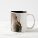 Recherche de noël de chien tasses Animal