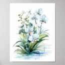Recherche de orchidées bleues posters Floral