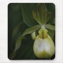 Recherche de orchidées jaunes tapis souris Nature