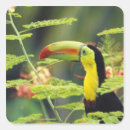 Suche nach tukan aufkleber Vogel