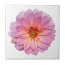 Suche nach lila und weiß fliesen Botanisch