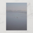 Recherche de washington photographie Plage