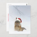 Recherche de chipmunk christmas vœux cartes Neige