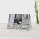 Suche nach haustierandenken Kitty