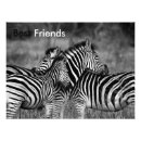 Suche nach zebra foto poster Tier