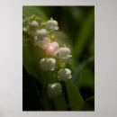 Suche nach tal poster Blume
