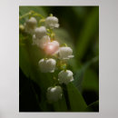 Recherche de springtime posters Flowers