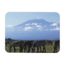 Recherche de étendu magnets Faune