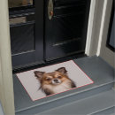 Recherche de chiwawa maison deco Portrait