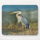 Suche nach schnabel mousepads Vögel