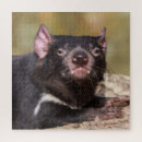 Recherche de tasmanie puzzles Nature