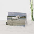 Suche nach stallion karten Bob langrish