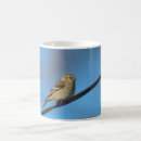 Recherche de finition tasses Oiseau