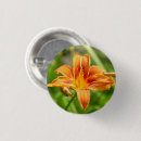 Suche nach foto der blume buttons Für sie/ihn