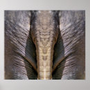 Recherche de éléphant drôle posters Humour