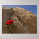 Suche nach mojave poster Trocken