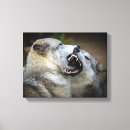 Suche nach yellowstone nationalpark leinwandbilder Fotografie