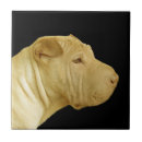 Suche nach profil fliesen Hunde