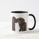 Recherche de chien labrador retriever tasses Animaux
