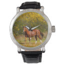 Recherche de cheval équin montres Amateurs de chevaux