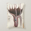 Recherche de seiches coussins Calmar