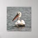 Suche nach schnabel Wasservogel