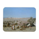 Recherche de oliviers magnets Olives